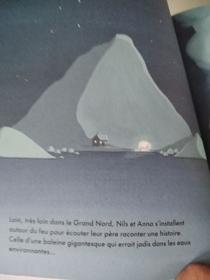 Livre : La mystérieuse baleine - photo numéro 5