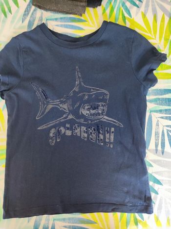 T shirt requin