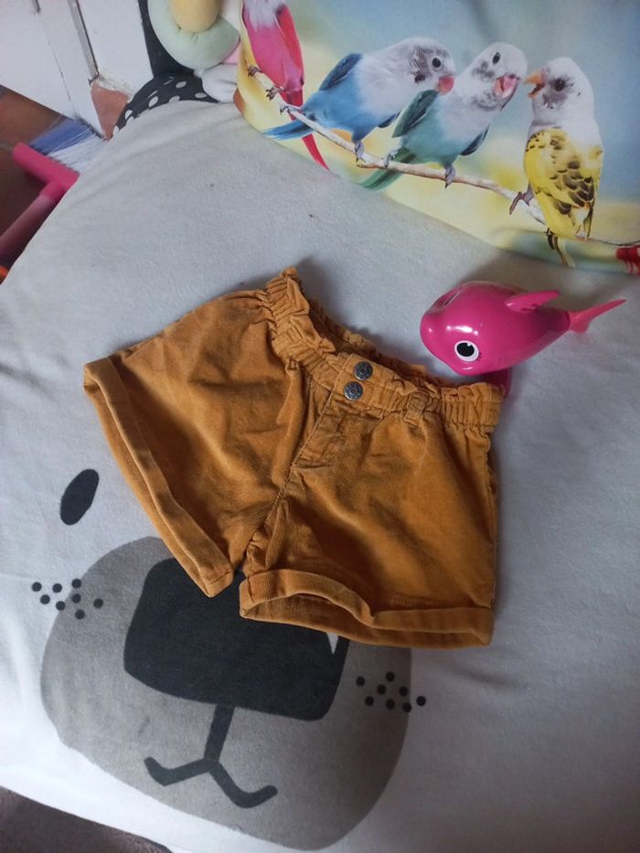 Short velours