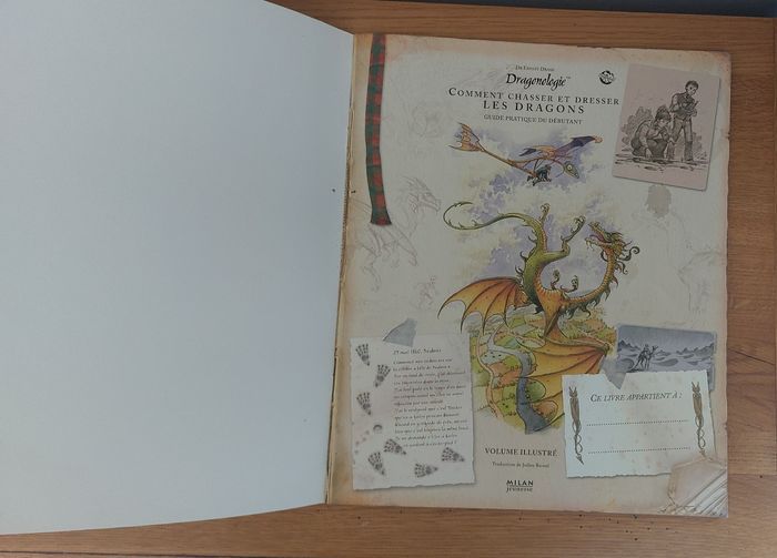 Dragonologie guide pratique du débutant - Milan jeunesse - photo numéro 2