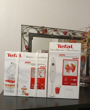 Lot avec batteur électrique et pied mixeur Tefal