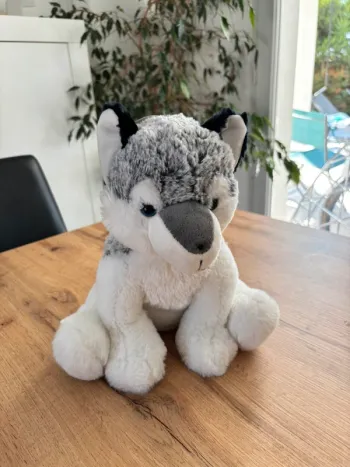 Peluche husky
