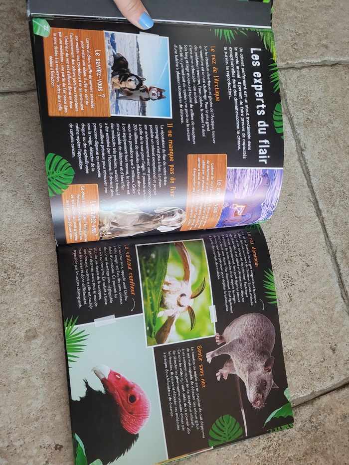 Livre une saison au zoo - photo numéro 3