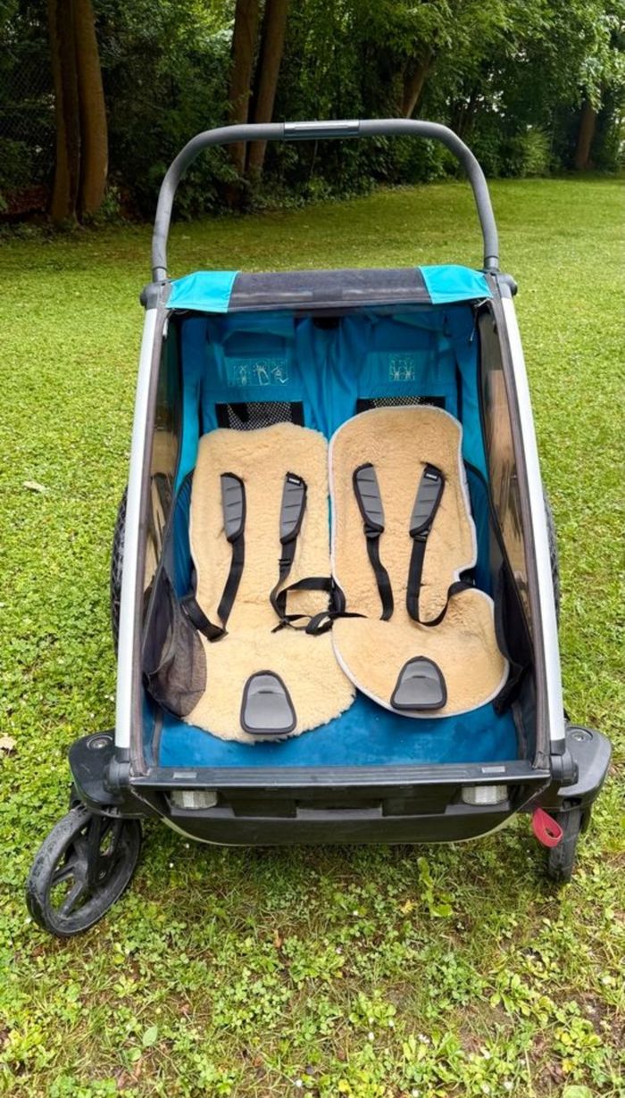 Thule chariot cross 2 - photo numéro 7