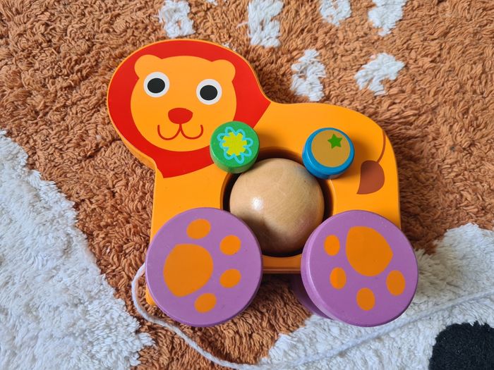 Lion à tirer - photo numéro 3