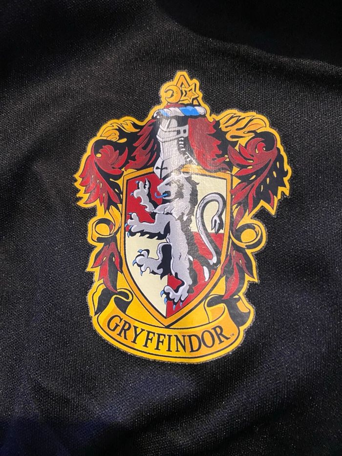 Ensemble de sorcier Griffondor 1 - photo numéro 4