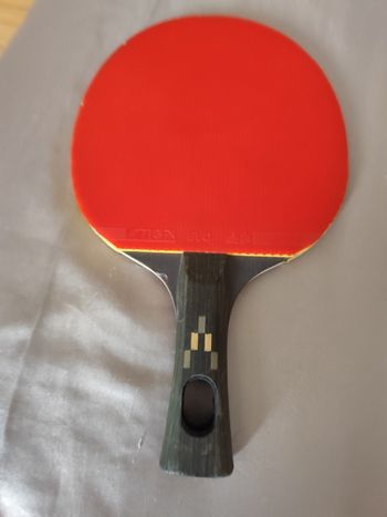 Raquette de tennis de table Tiga evo