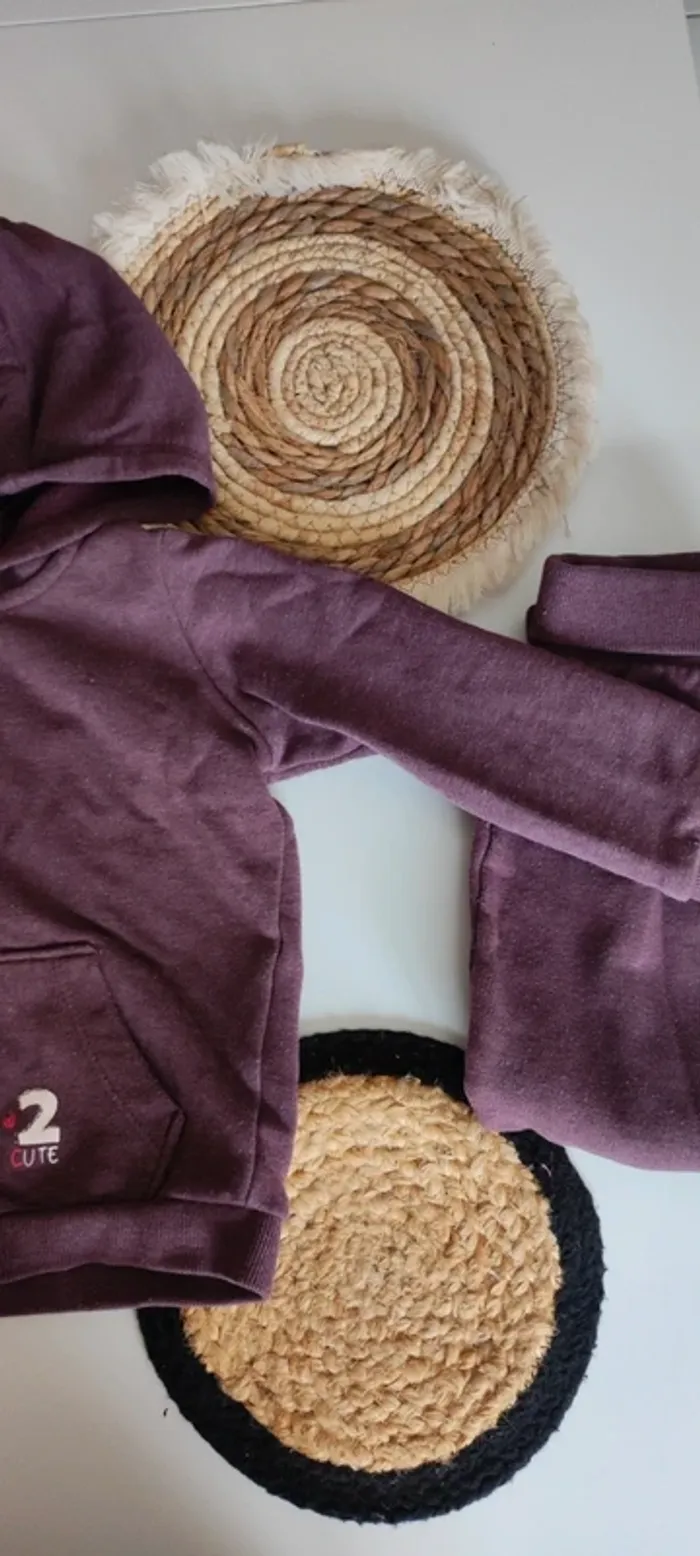 Ensemble survêtement jogging veste à capuche bébé fille mi saison printemps automne hiver - photo numéro 5