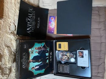 Jeu de société Les animaux fantastiques