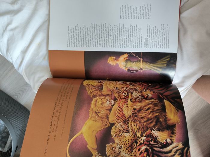 Livre sur les tigres - photo numéro 2
