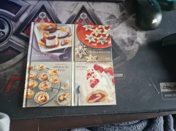 Lot de 4 petits livres de cuisine