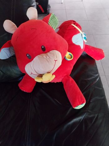 Peluche activités