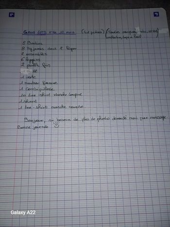 Lot vêtement fille 12 mois