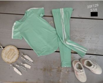 Lot vertement marion