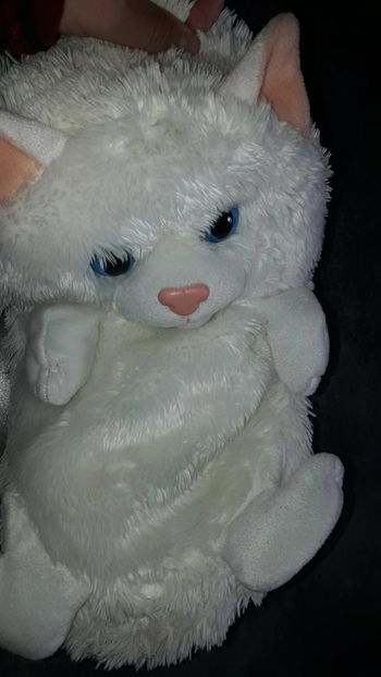 chat dujardin peluche