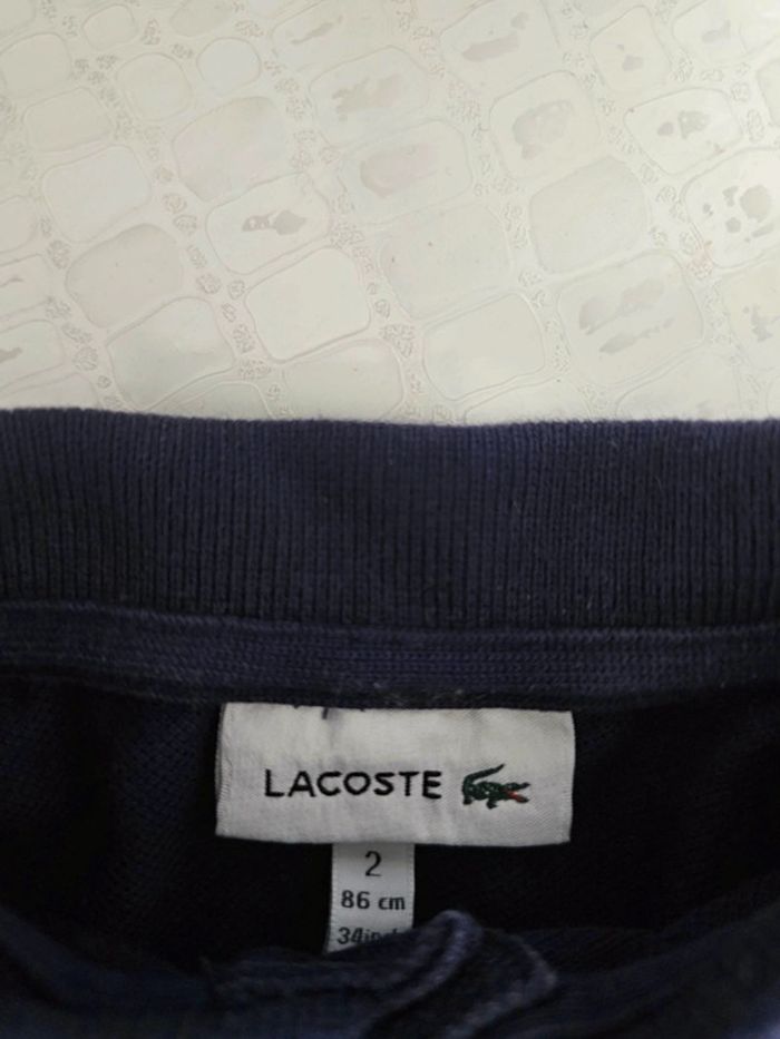 Polo Lacoste - photo numéro 3