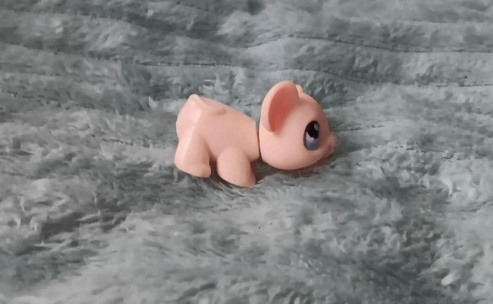 Petshop souris 103 - photo numéro 2