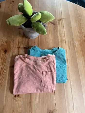 Lot 2 t-shirt 3 ans