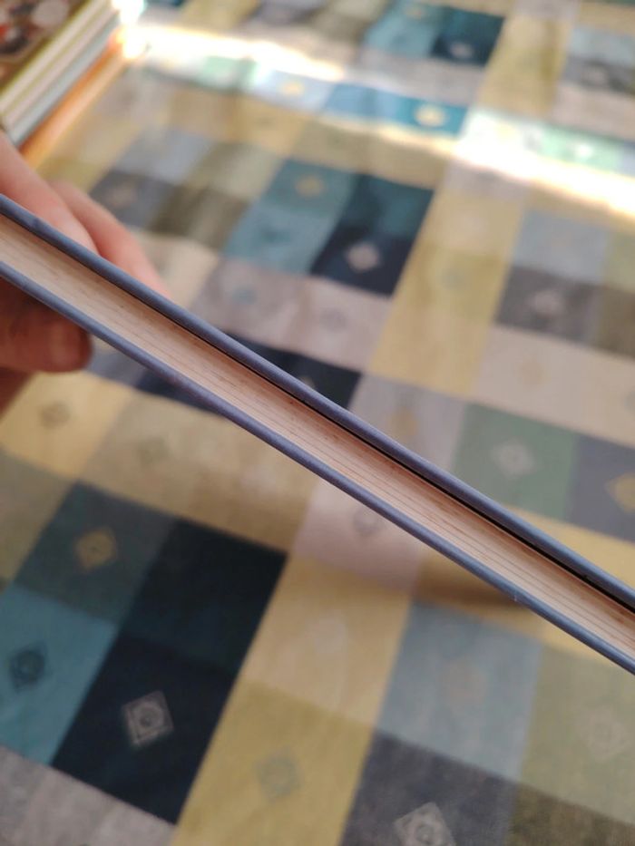 Livre sur l'éléphant - photo numéro 5