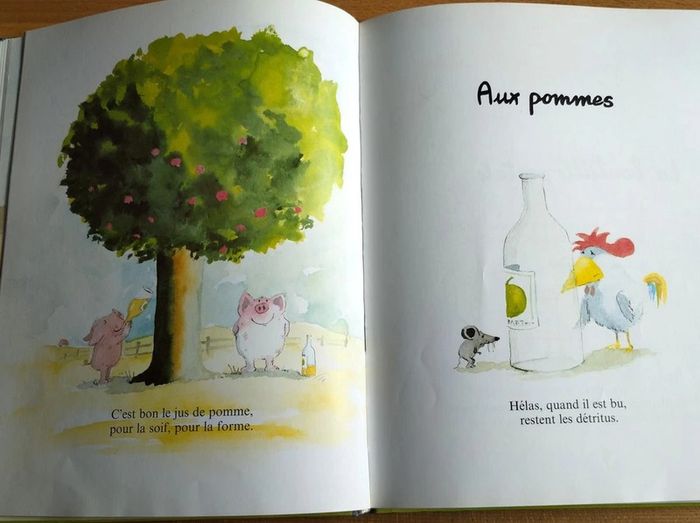Livre enfant Sept cochons sauvages - photo numéro 5