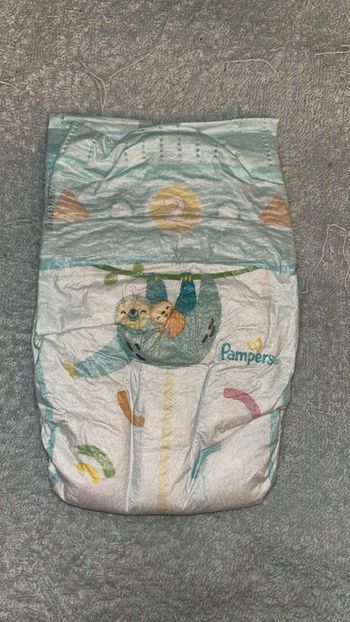Couches Pampers