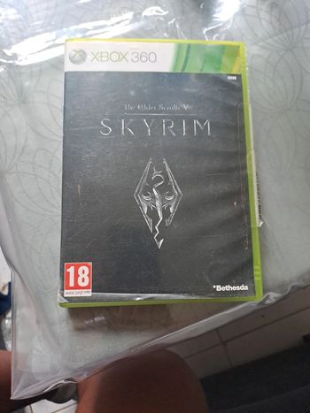 Skyrim 360