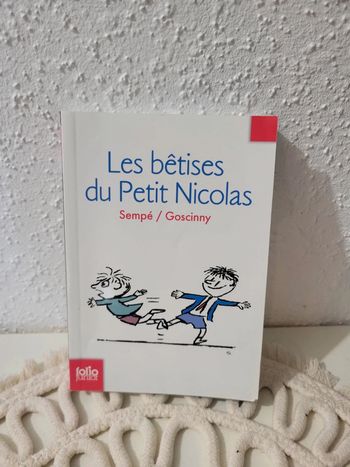 Livre 📚 enfants "Les bêtises du Petit Nicolas"