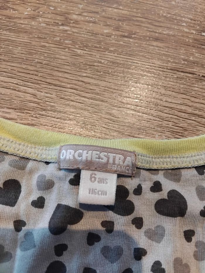 Robe Orchestra - photo numéro 4