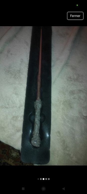 Baguette harry potter j6