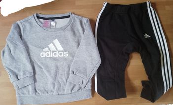 Ensembles