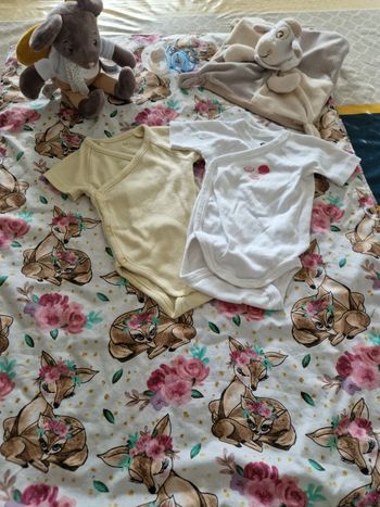 Lot 2 body