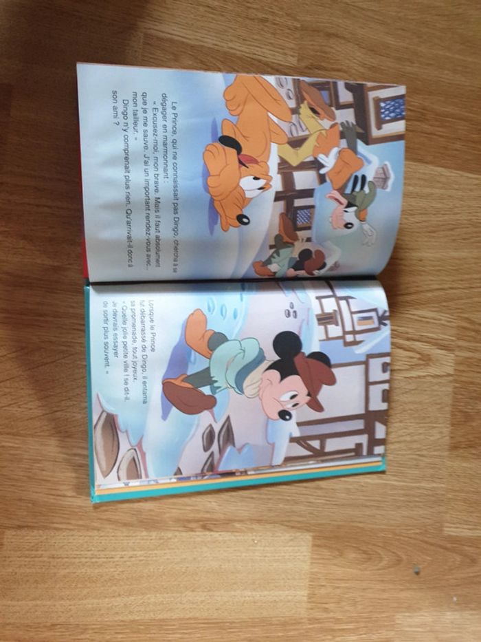 Livre Mickey - photo numéro 2