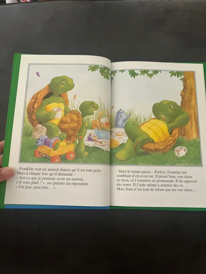 Franklin veut un animal 🐢 - photo numéro 5