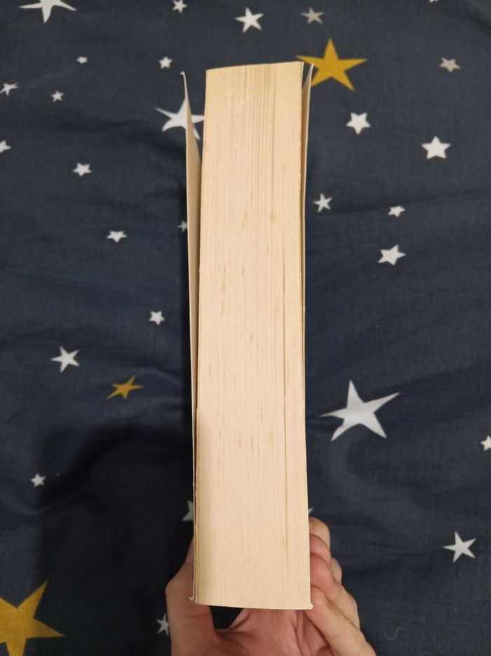 Livre (105) 📚 INCA - L'or de cuzco - photo numéro 4