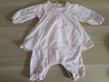 Combilongue rose Absorba 1m neuve