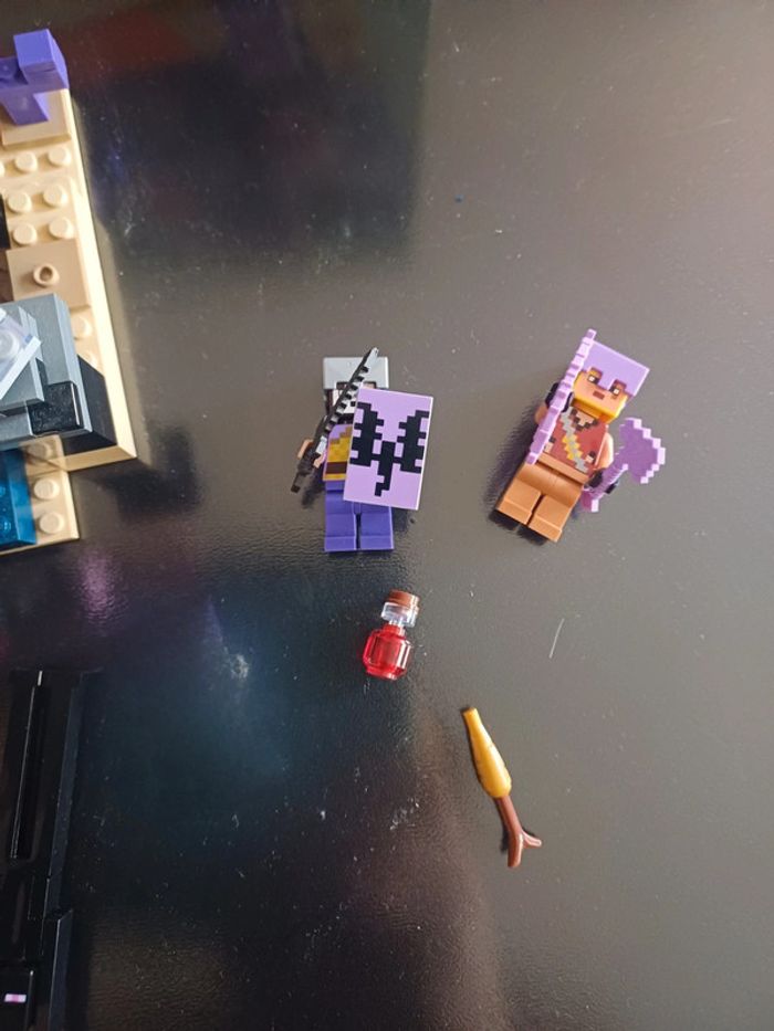 Légo minecraft l'arène de l'End 21242 - photo numéro 6