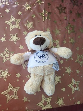 Peluche ours 🧸 🐻 