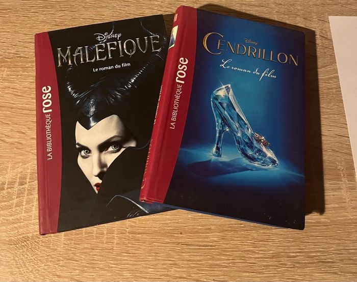 Lot de livres Disney Maléfique et Cendrillon - photo numéro 2