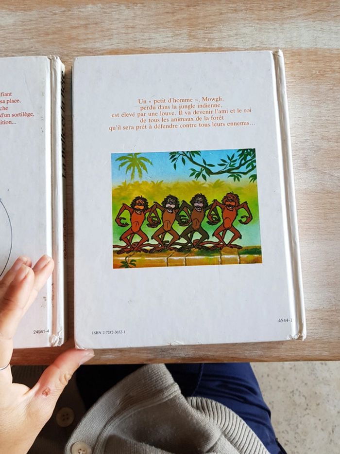 lot de 2 livres Disney - photo numéro 5