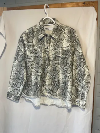 veste zara