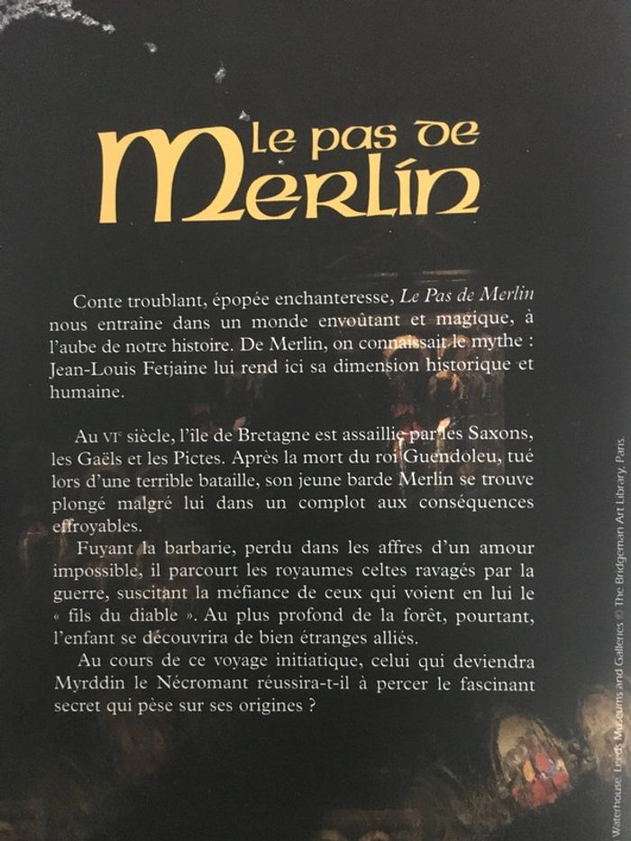 Livre Broché Le pas de Merlin Tome 1 - photo numéro 4