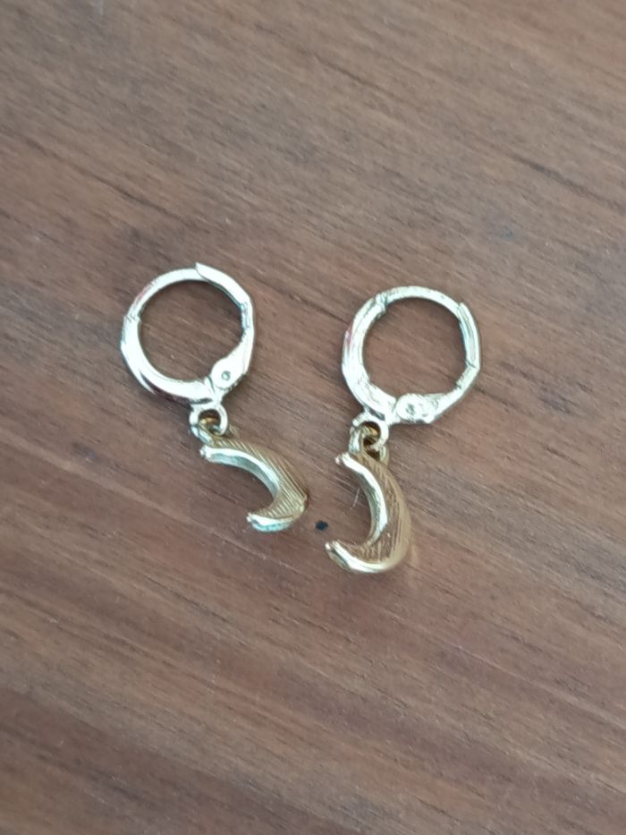 Boucles d'oreilles - photo numéro 2