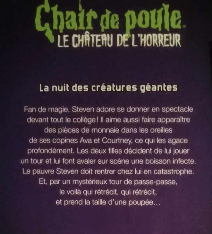 "Le Château de l'Horreur": tomes 1-2-3-4 - photo numéro 3