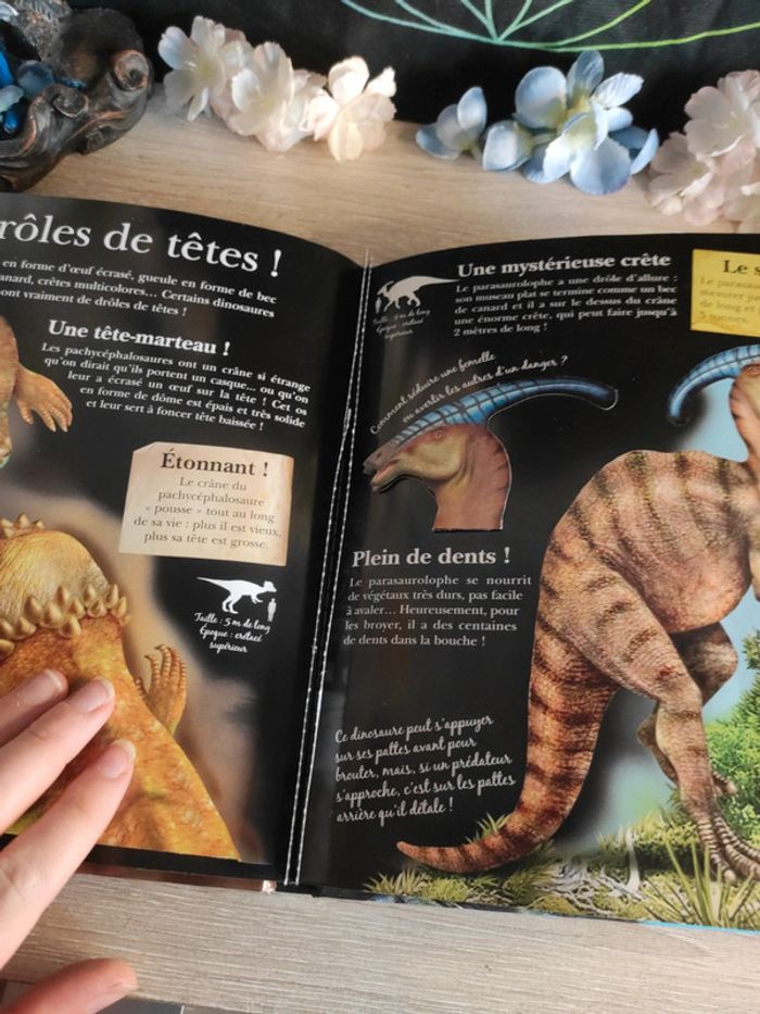 Incroyables dinosaures – L'incroyable encyclopédie – Larousse - photo numéro 16