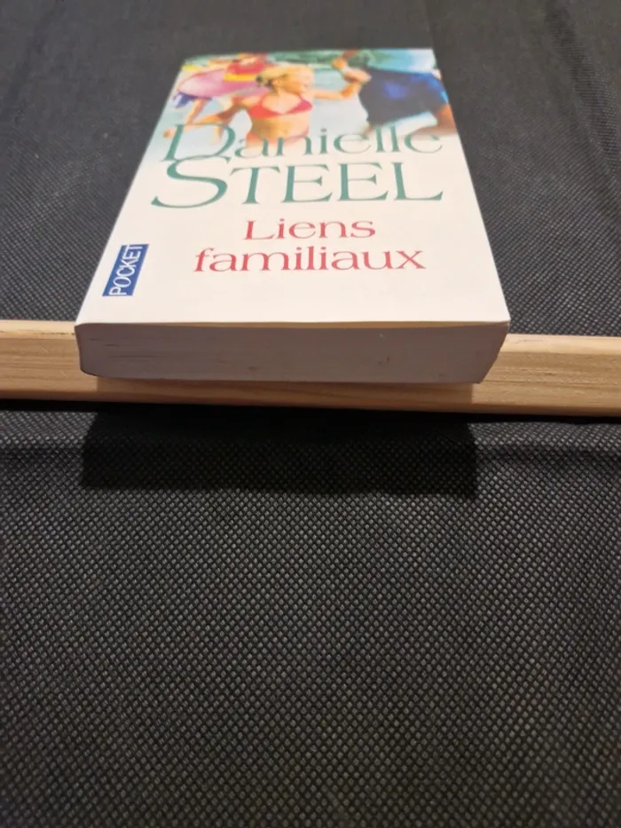 Liens familiaux - Danielle Steel - photo numéro 2