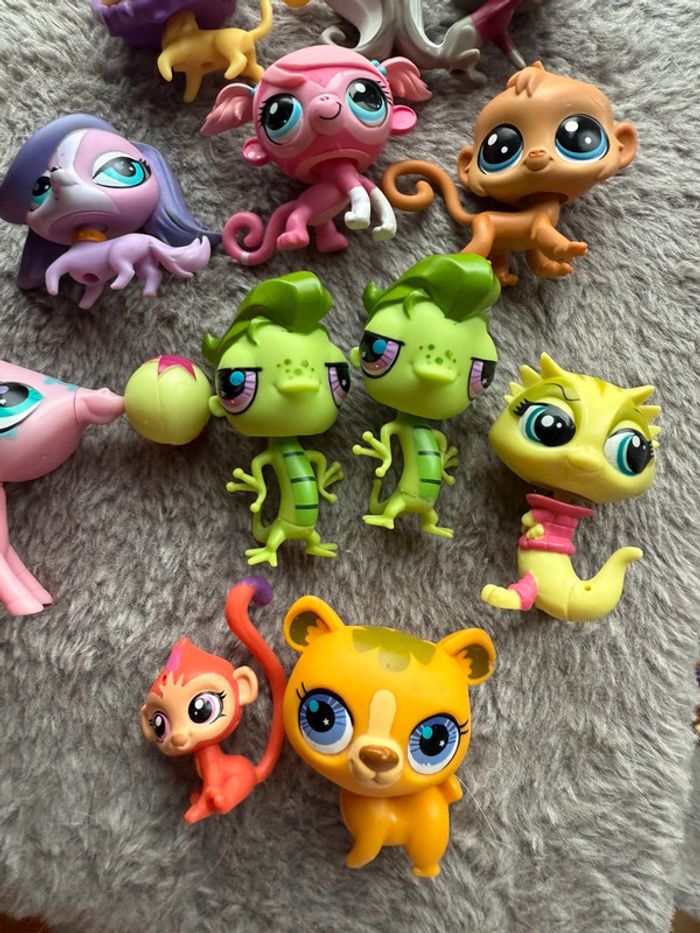 Lot petshops - photo numéro 4