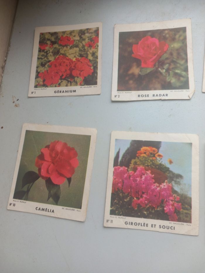 Anciennes images biscottes Reinette - photo numéro 2