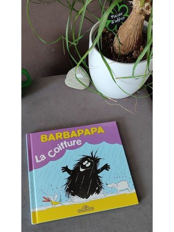 Livre Barbapapa : la coiffure 