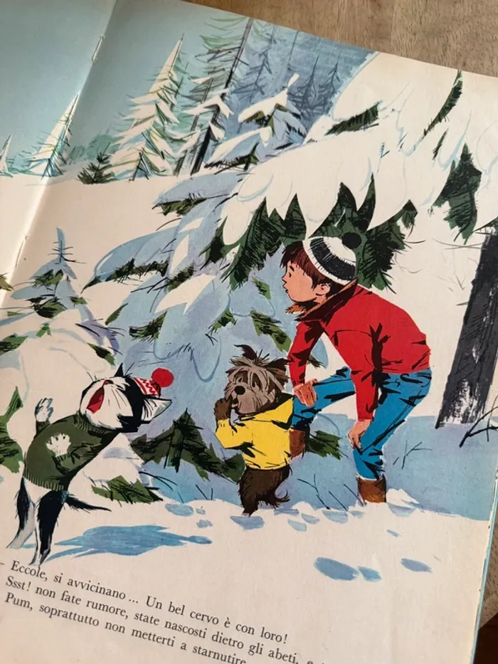 Livre Pierre Probst Caroline Fanfan ancien italien Gianni e l’ultimo lupo vintage - photo numéro 7