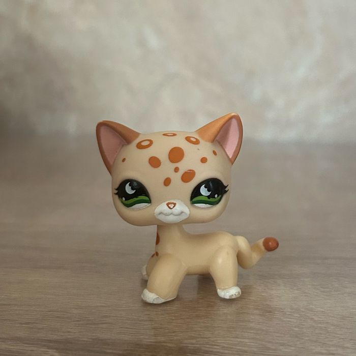 Petshop Chat Européen #852